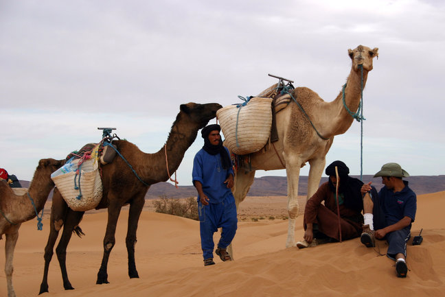 Sahara Mini Adventure