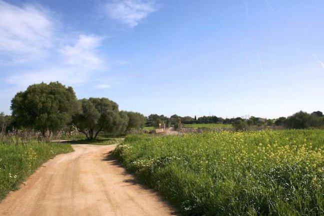 Leisurely cycling through the rural heart of Mallorca