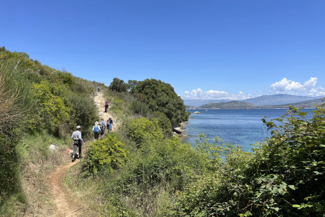 Corfu, Walks & Wildflowers tour