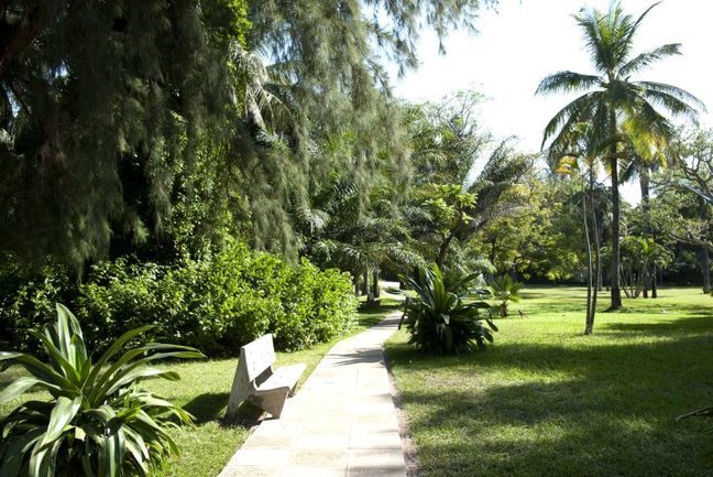 Gardens at the Senegambia Hotel