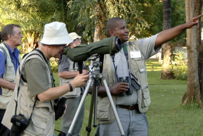 Birdwatching in the Senegambia gardens