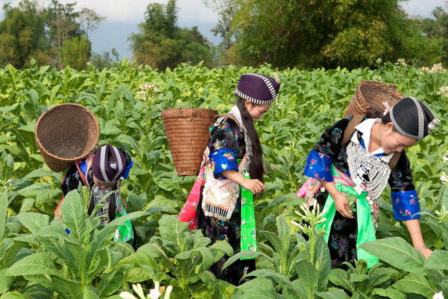 Off the beaten track in Laos