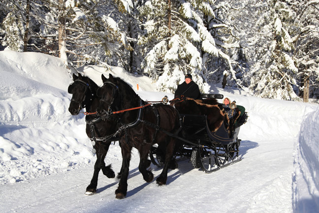 Enjoy a horse-drawn sleigh ride through the enchanting snow-covered forest