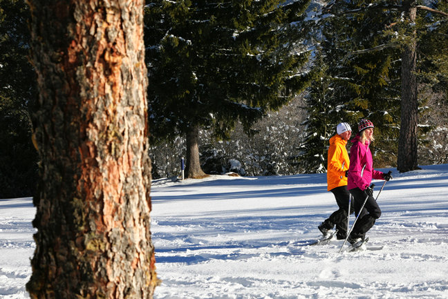 Try your hand at snowshoeing