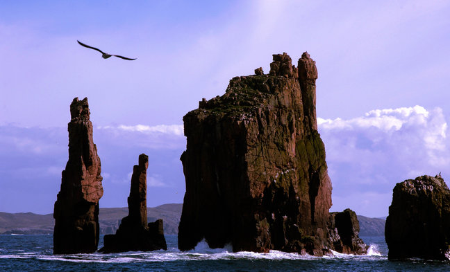 Sea stacks on Shetland