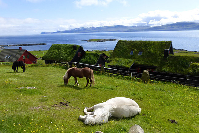 Walking on the Faroe Islands