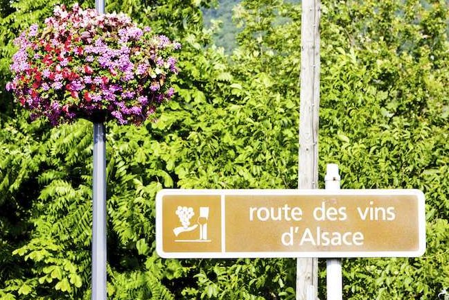 Follow the 'route des vins' through neat vineyards and charming wine-producing villages 