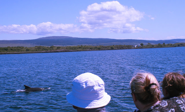 You will enjoy a full day whale watch trip