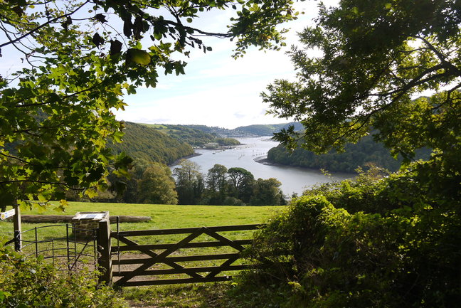 The River Dart - leaving Greenway
