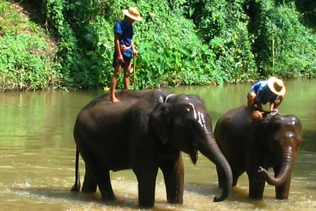 Bangkok to Chiang Mai Overland 