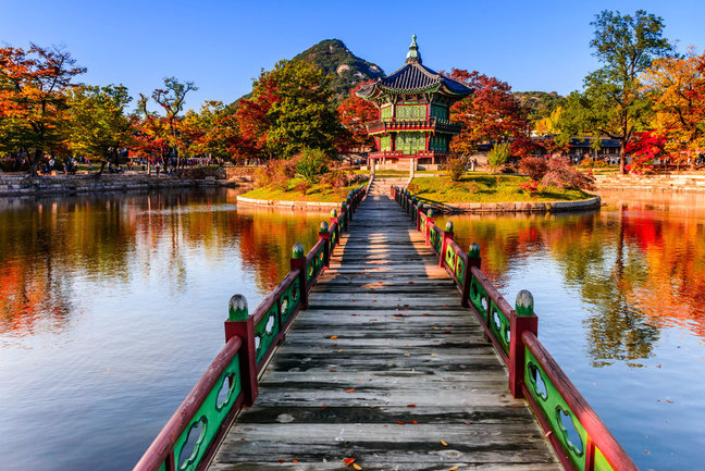 south korea tours for seniors