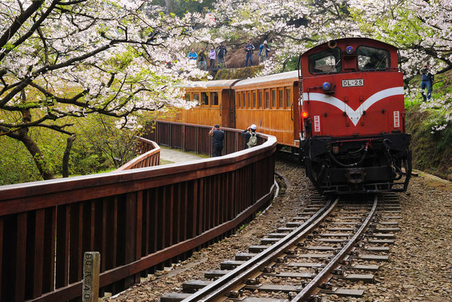 Alishan Forest train, Taiwan