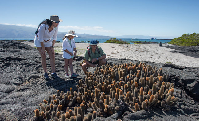 Amazon Lodge & Galapagos Cruise