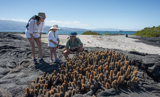 Galapagos & Ecuador Family Tour