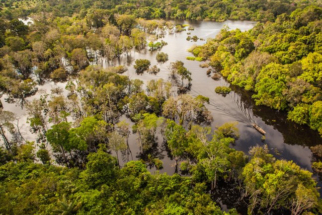 Brazil - Nature & Wildlife