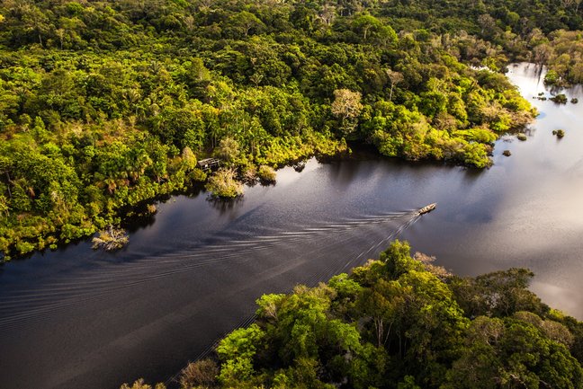 Amazon Cruise in Brazil