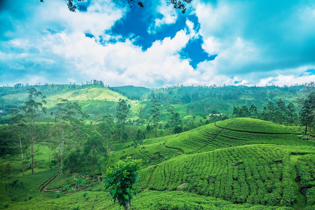 World's End, The Hill Country, Sri Lanka