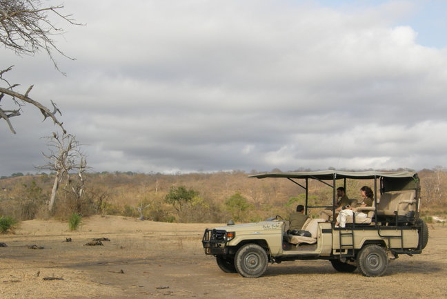 Tailor-made S. Tanzania Safari