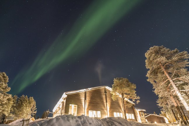 Auroras by the frozen lake