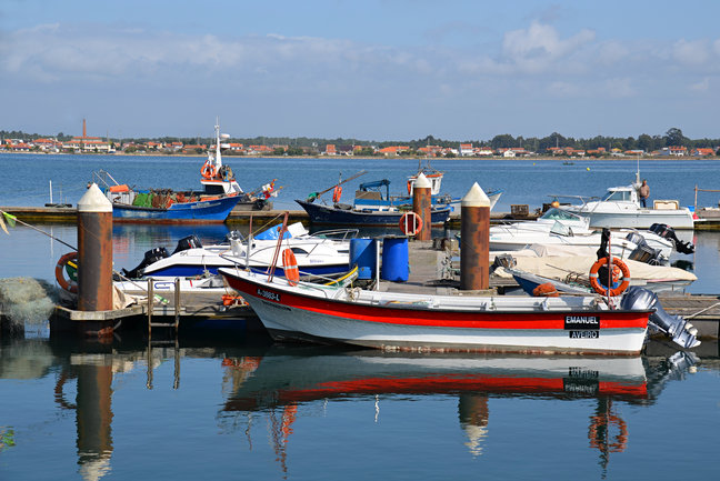 Colourful fishing boats on the Aveiro Lagoon