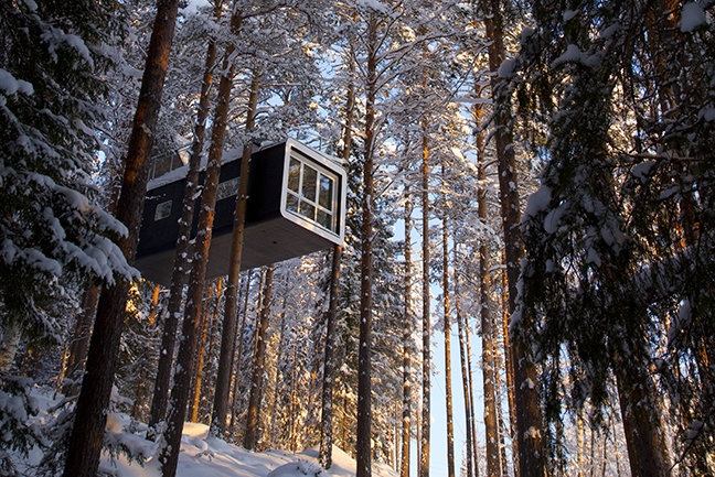 TreeHotel and ICEHOTEL