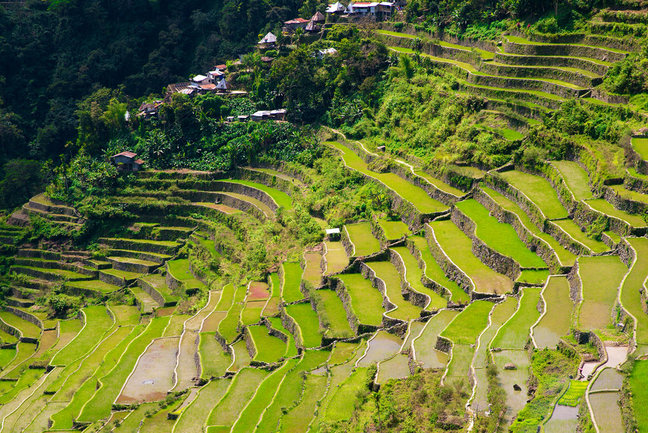 Rice terraces of Banaune, Philippines
