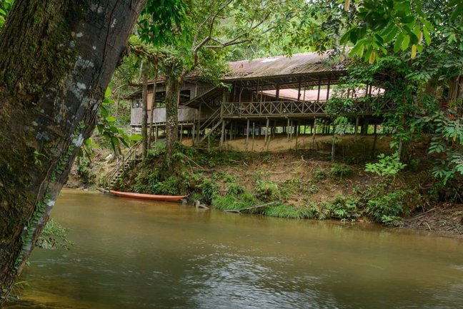 Borneo Batang Ai Safari