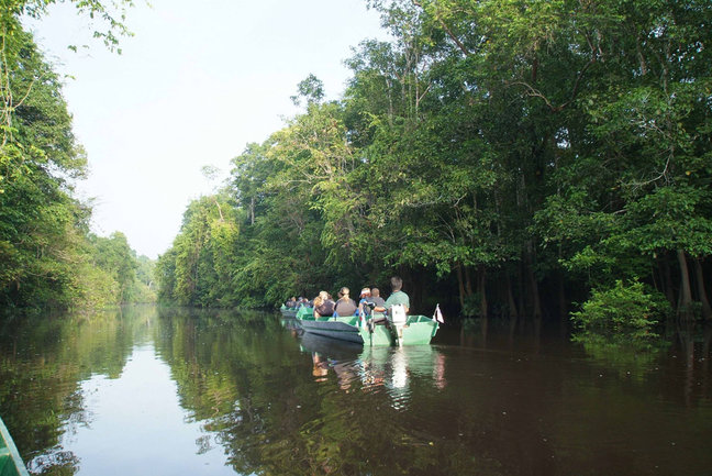 Borneo culture and wildlife tour