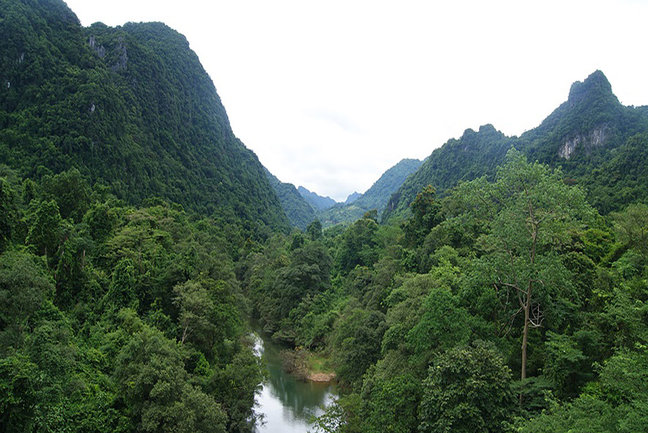 Cuc Phuong National Park Vietnam