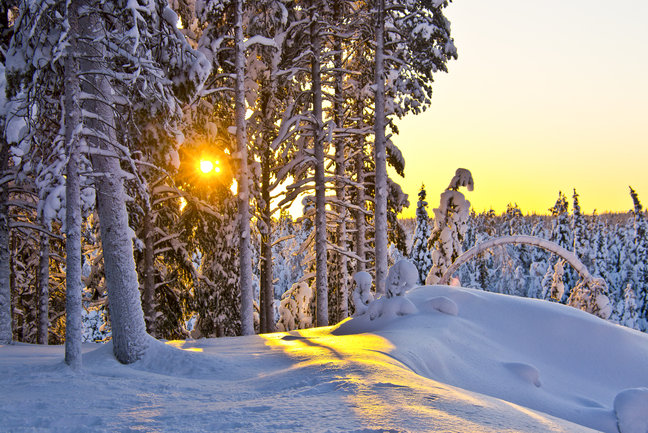 Panoramas galore in Norway