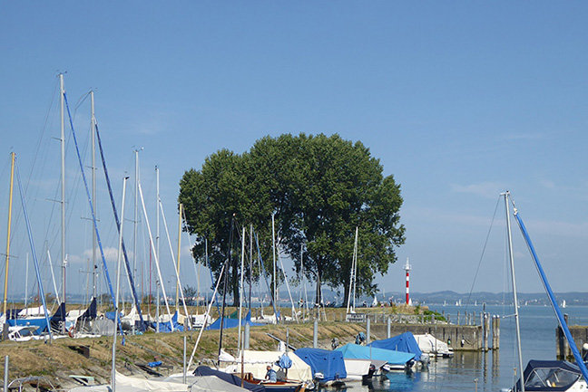 Single bregenz