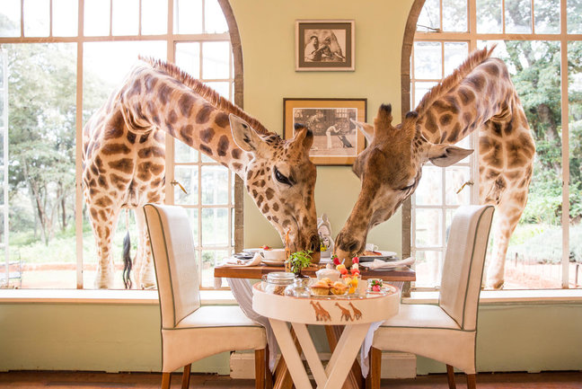 luxury kenya and tanzania safari