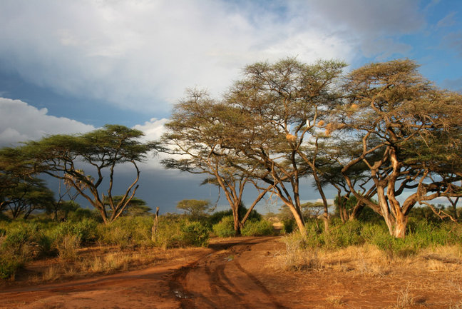 Kenya Adventure Safari