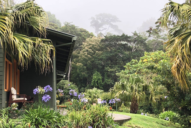 Cloudforest, Monteverde