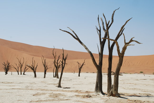 Namibia Family Self-Drive