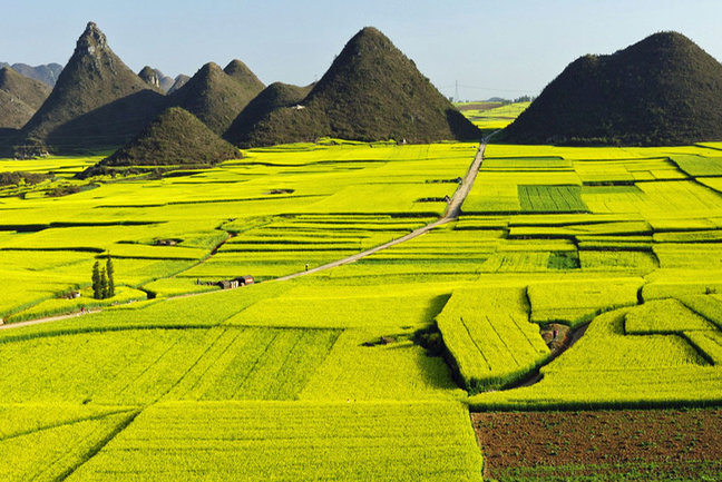 Rice Terraces and Ethnic Tribes