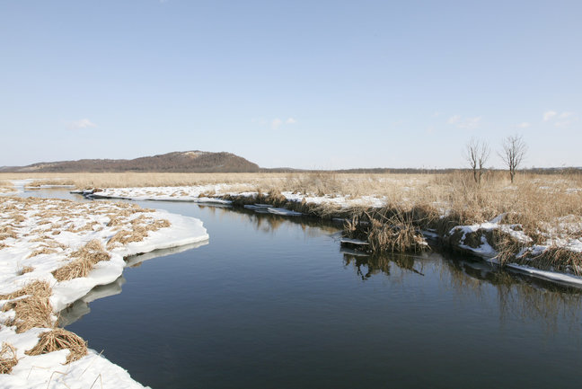 Wild Hokkaido Fly  Drive