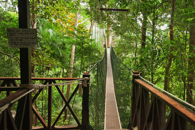 Taman Negara National Park 