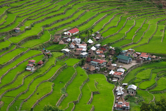 Rice terraces, Philippines