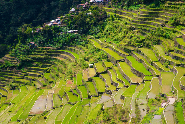 Banaue Rice Terraces Tour