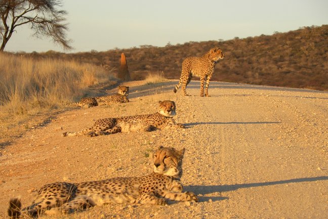 Namibia Family Friendly