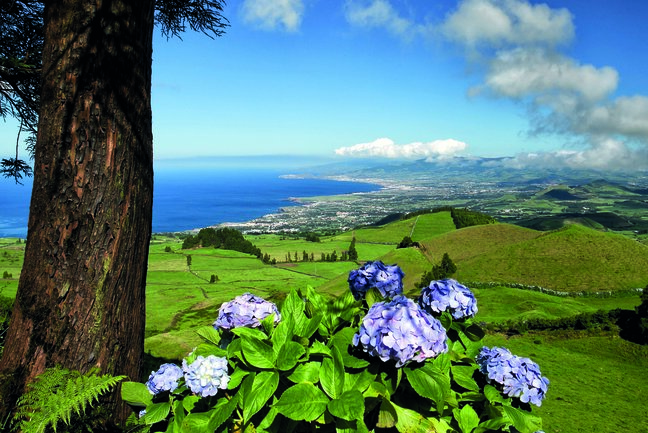 Azores Three Island Tour (C)