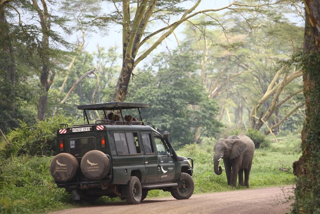 Credit Bushbaby/ &Beyond Ngorongoro Crater Lodge