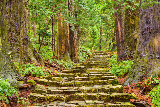 Kumano Kodo Trail