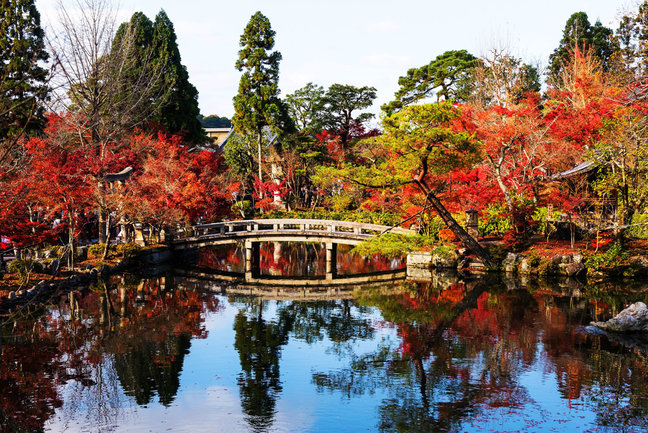 Japan Kansai Cultural Tour