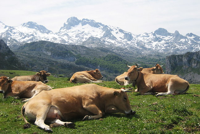 The Picos de Europa, Asturias