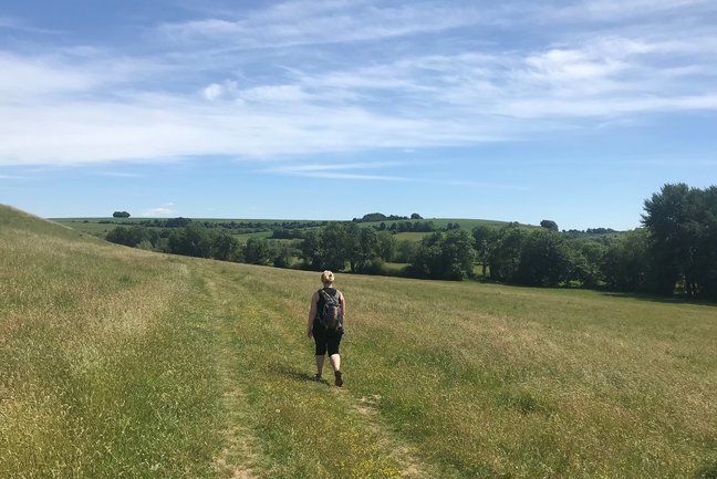 Walk the chalk downs of south Wiltshire