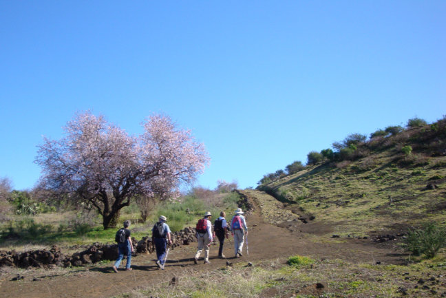 Walking in Tenerife