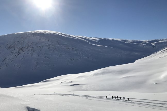 Kings Trail Arctic Snowshoe
