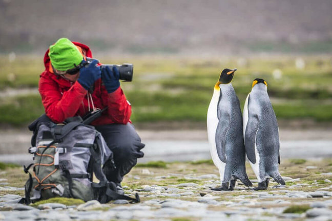 Antarctica & the Falklands